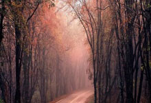 678体育平台:不敗之師!細數“教授”溫格入選名人堂背後偉大數據!.