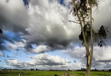 2023女足世界杯小組賽南非3-2意大利 卡魯索雙響加特拉娜破門!南非隊史首次晉級淘汰賽!.