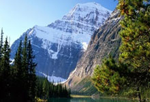 MotoGP｜馬田首奪世界冠軍　敵隊車手主動「護駕」捱批.