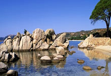 【图解】奋战120天! 抓春管提单产夺夏收粮油丰收行动启动.